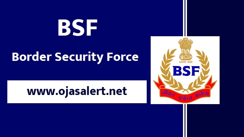 BSF Veterinary Assistant Recruitment 2022